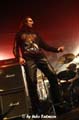 Crusader